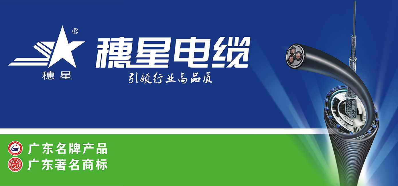 888集团电缆再次荣获"广东省名牌产品"称号